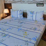 Fabby Decor Designer Print Cotton Queen Size Bed Sheets