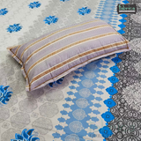 Fabby printed pure cotton king size bedsheet